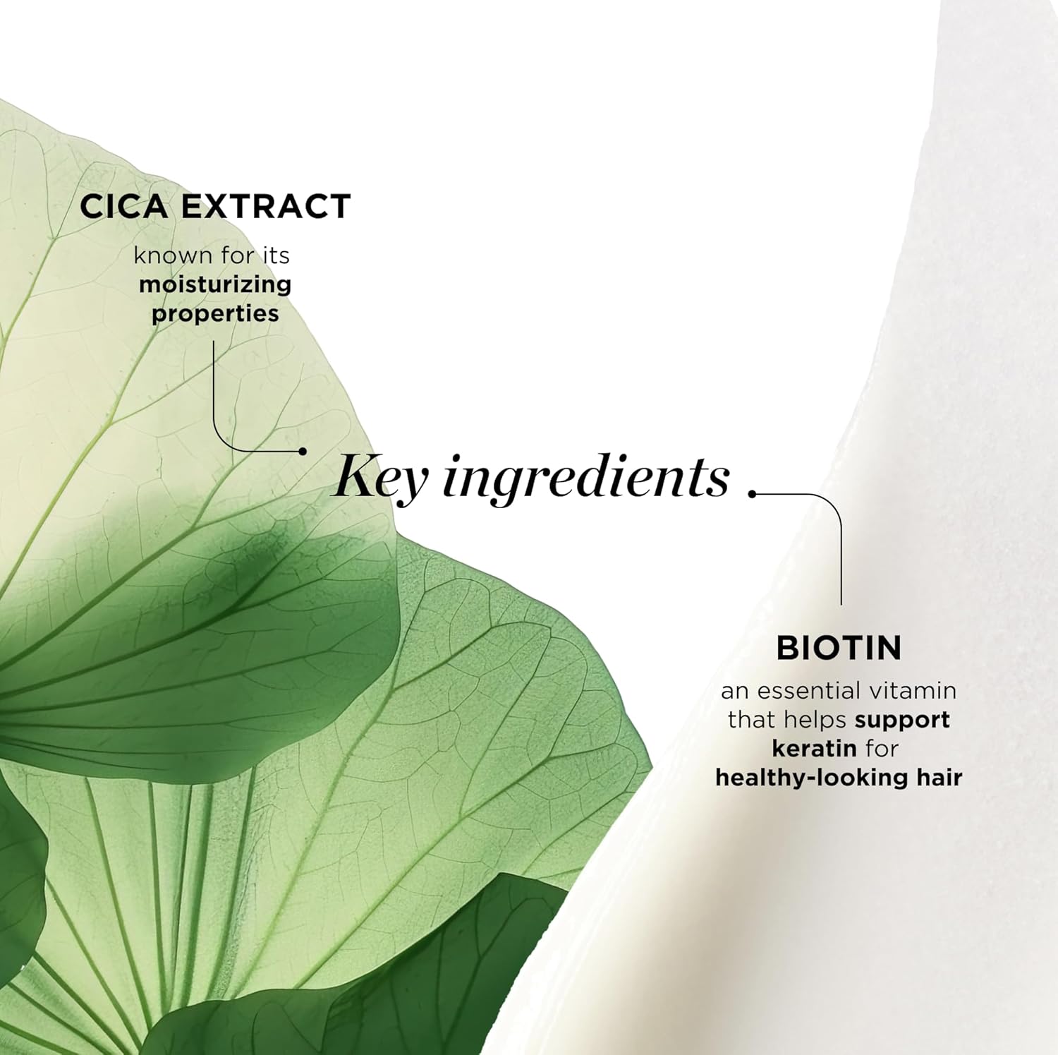 Dr. Groot Scalp Soothing Shampoo with Biotin, Centella, and Prebiotics - Moisturizing Kbeauty Solution for Dry Scalp, Korean Hair Care, Scalp Revitalizing Shampoo